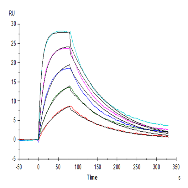 Human IL-15 Protein (IL5-HE015) Human IL-15 Protein (IL5-HE015)