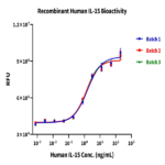 Human IL-15 Protein (IL5-HE015)