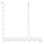 Human IL-15 Protein (IL5-HE015)