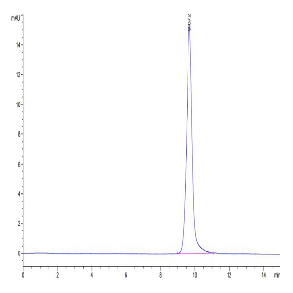 Human IL-15 Protein (IL5-HE015)