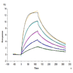 Biotinylated Human IL-5 Protein (IL5-HM401B)