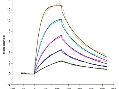 Biotinylated Human IL-5 Protein (IL5-HM401B)