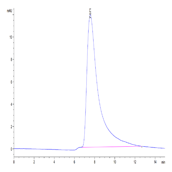 Biotinylated Human IL-5 Protein (IL5-HM401B)