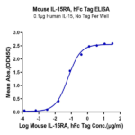 Mouse IL-15RA/IL-15 R alpha/CD215 Protein (IL5-MM2RA)