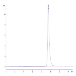 Cynomolgus IL-6 Protein (IL6-CM001)