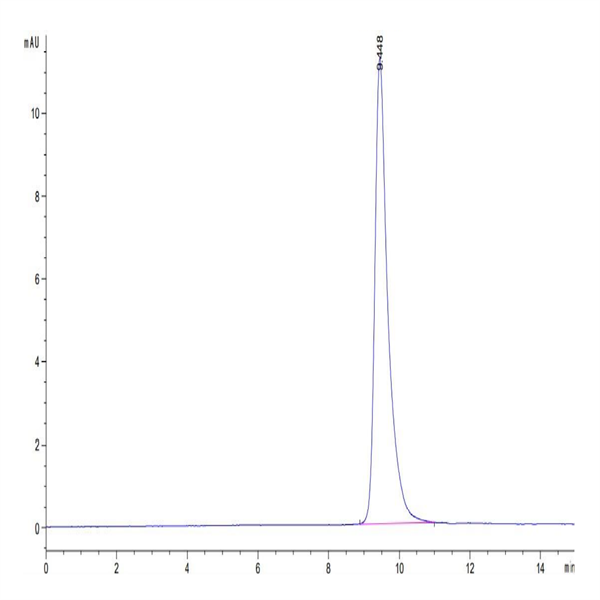 Cynomolgus IL-6 Protein (IL6-CM001)