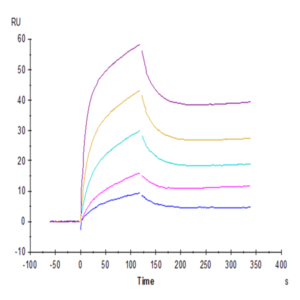 Human IL-6 Protein (IL6-HE001)