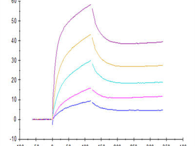 Human IL-6 Protein (IL6-HE001)