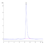 Human IL-7 Protein (IL7-HE001)