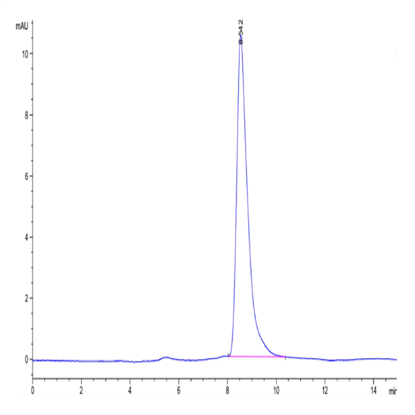 Human IL-7 Protein (IL7-HE001)
