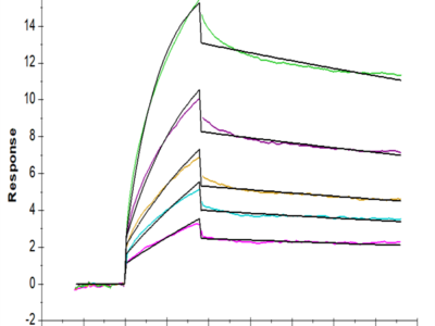 Human IL-37 Protein (IL7-HE037)