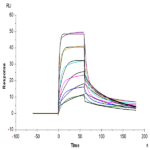 Human IL-7R alpha/CD127 Protein (IL7-HM1RA)