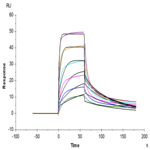 Human IL-7R alpha/CD127 Protein (IL7-HM1RA)