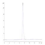 Human IL-7R alpha/CD127 Protein (IL7-HM1RA)