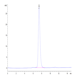 Human IL-7R alpha/CD127 Protein (IL7-HM1RA)