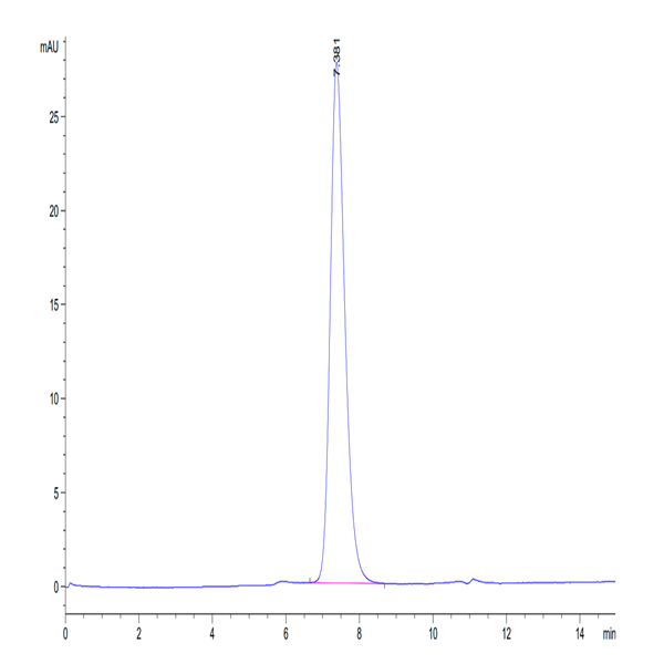 Human IL-7R alpha/CD127 Protein (IL7-HM1RA)