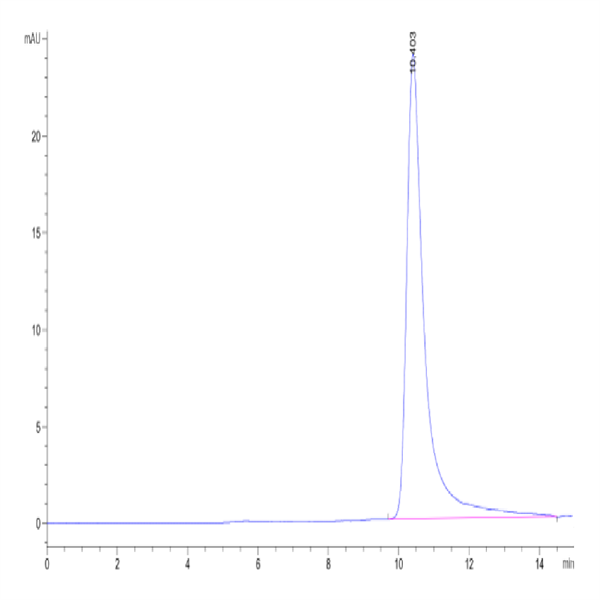 Human IL-17B Protein (IL7-HM27B)