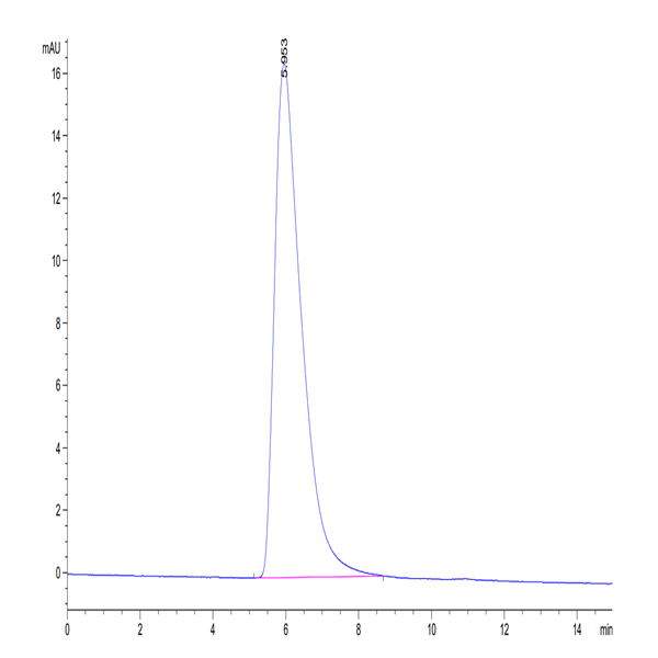 Human IL-7R alpha/CD127 Protein (IL7-HM2RA)