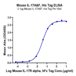 Mouse IL-17A&F Protein (IL7-MM4AF)
