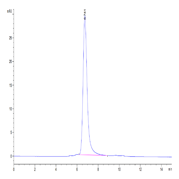 Mouse IL-17A&F Protein (IL7-MM4AF)