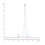 Cynomolgus IL-18RAP Protein (IL8-CM1AP)