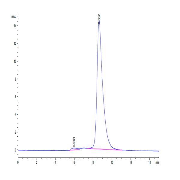 Cynomolgus IL-18RAP Protein (IL8-CM1AP)