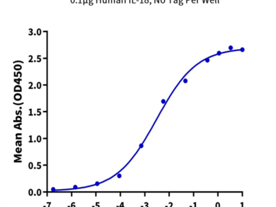 Cynomolgus IL-18BP Protein (IL8-CM1BP)