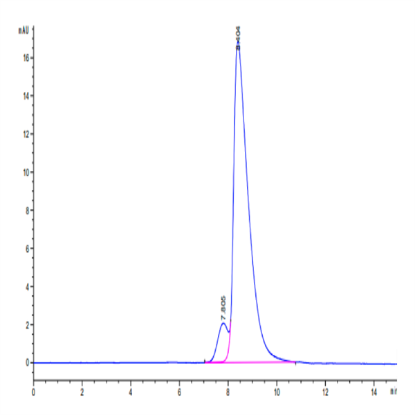 Cynomolgus IL-18BP Protein (IL8-CM1BP)