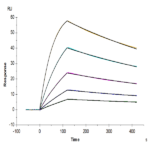 Biotinylated Cynomolgus IL-18BP Protein (Primary Amine Labeling) (IL8-CM1BPB)