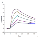 Cynomolgus IL-18 R1/CD218a Protein (IL8-CM1R1)