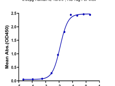 Human IL-18RAP Protein (IL8-HM1AP)