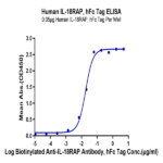 Human IL-18RAP Protein (IL8-HM2AP)