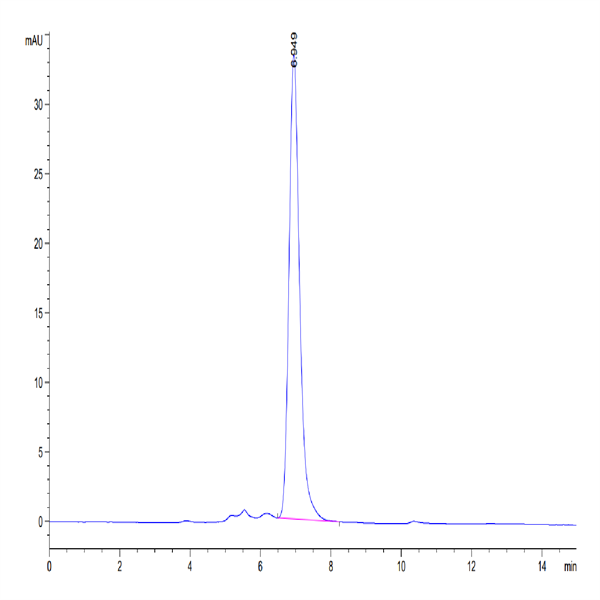 Human IL-18RAP Protein (IL8-HM2AP)