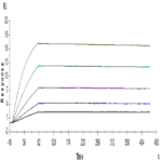 Human IL-18BP Protein (IL8-HM2BP)