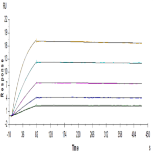 Human IL-18BP Protein (IL8-HM2BP)