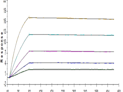 Human IL-18BP Protein (IL8-HM2BP)