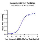 Human IL-18BP Protein (IL8-HM2BP)