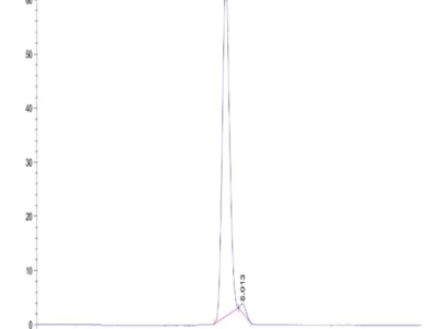 Human IL-18 R1/CD218a Protein (IL8-HM2R1)