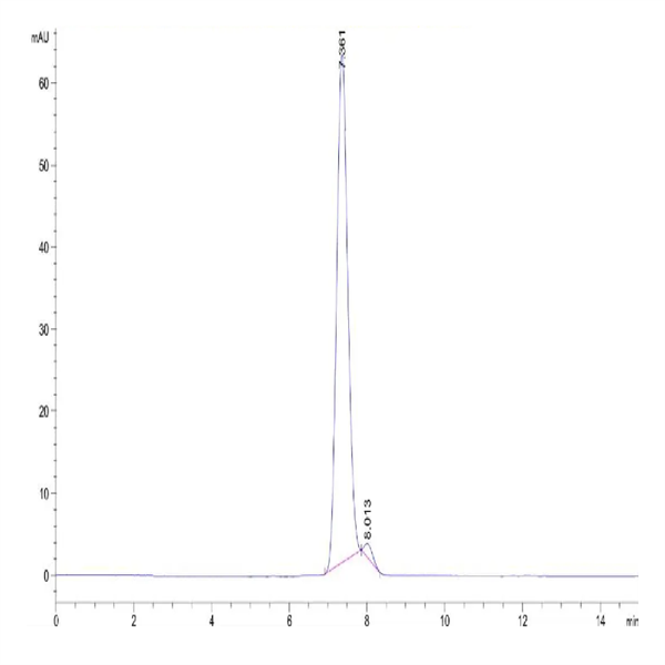 Human IL-18 R1/CD218a Protein (IL8-HM2R1) Human IL-18 R1/CD218a Protein (IL8-HM2R1)