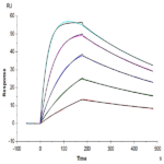 Biotinylated Human IL-18BP Protein (IL8-HM4BPB)