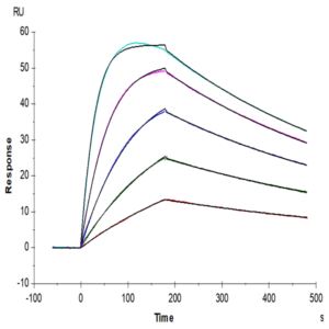 Biotinylated Human IL-18BP Protein (IL8-HM4BPB)