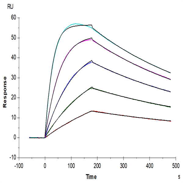 Biotinylated Human IL-18BP Protein (IL8-HM4BPB) Biotinylated Human IL-18BP Protein (IL8-HM4BPB)