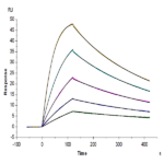 Human IL-18 R1/CD218a Protein (IL8-HM4R1)