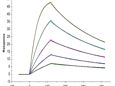 Human IL-18 R1/CD218a Protein (IL8-HM4R1)