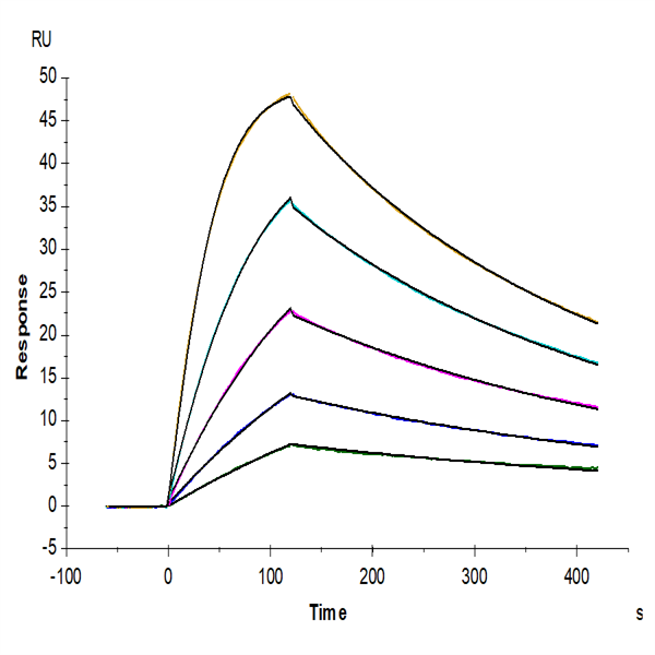 Human IL-18 R1/CD218a Protein (IL8-HM4R1) Human IL-18 R1/CD218a Protein (IL8-HM4R1)