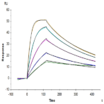 Biotinylated Human IL-18 R1/CD218a Protein (IL8-HM4R1B)