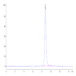 Mouse IL-18RAP Protein (IL8-MM1AP)