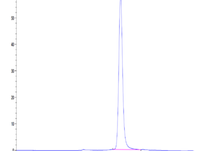 Mouse IL-18RAP Protein (IL8-MM1AP)