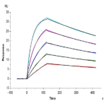 Mouse IL-18BP Protein (IL8-MM1BP)