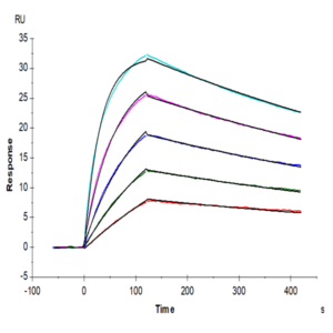 Mouse IL-18BP Protein (IL8-MM1BP)